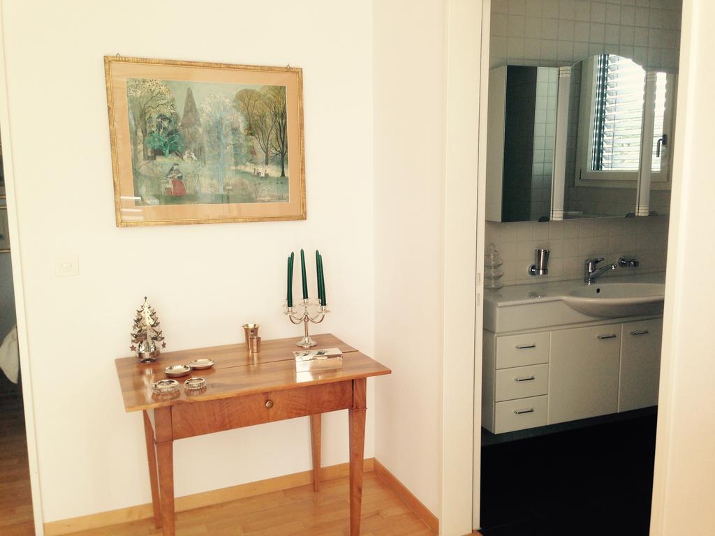 Avliving City Flat Basel With Roof Garden Buitenkant foto