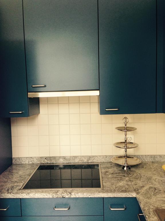 Avliving City Flat Basel With Roof Garden Buitenkant foto